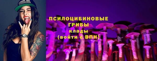 мдма Краснослободск