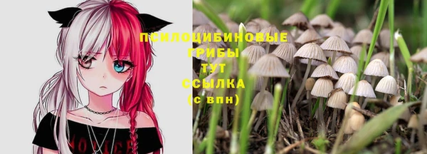 мдма Краснослободск