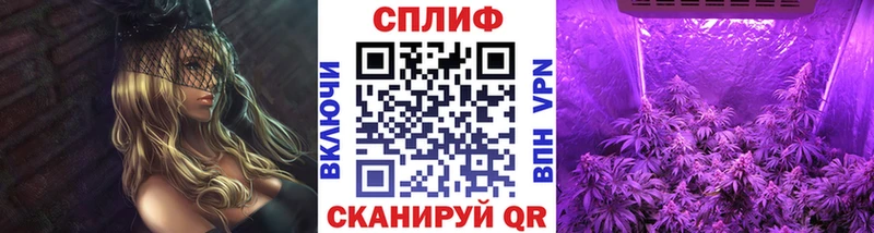 Купить  Кувшиново  Каннабис SATIVA & INDICA 